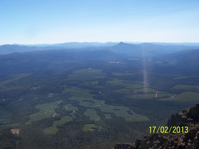 Forestry in the Florentine Valley, South-East Tasmania. (Photo B. Huttner-Koros)
