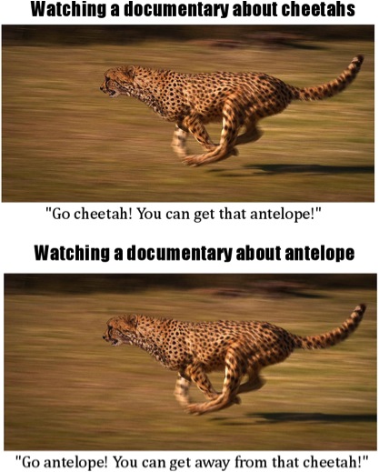 image from Wikimedia commons