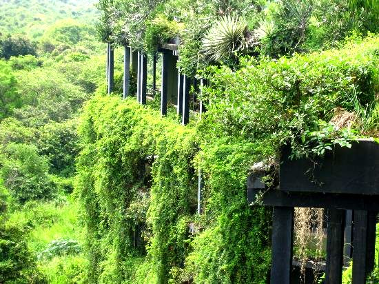 Hotel Rooms at Kandalama Heritance Hotel, Sri Lanka. Source:http://www.greenroofs.com/projects/pview.php?id=555