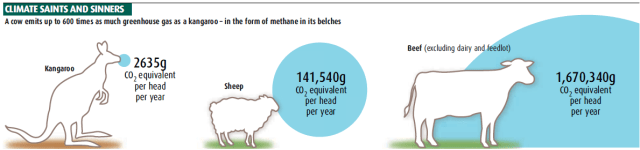 Image from Trivedi, B (2008) ‘Kangaroos to the Resuce’ New Scientist 20-27 December pp. 48-50 www.newscientist.com