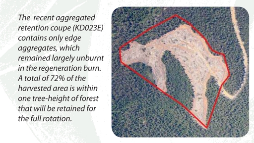 Photo and caption from Forestry Tasmania. 'Achieving good ecological outcomes fro aggregated retention'. 