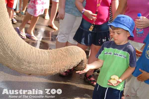 animal encounters aim to raise awareness while gaining an appreciation for the animal