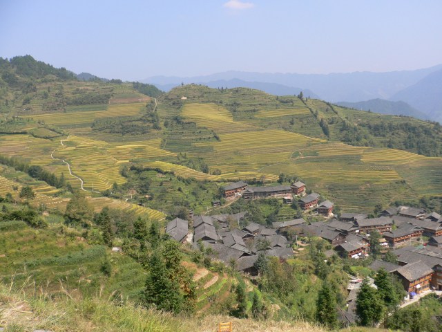 Terracing is a typical traditonal farming practice in China which utilises resources along the landscape in an efficient way.