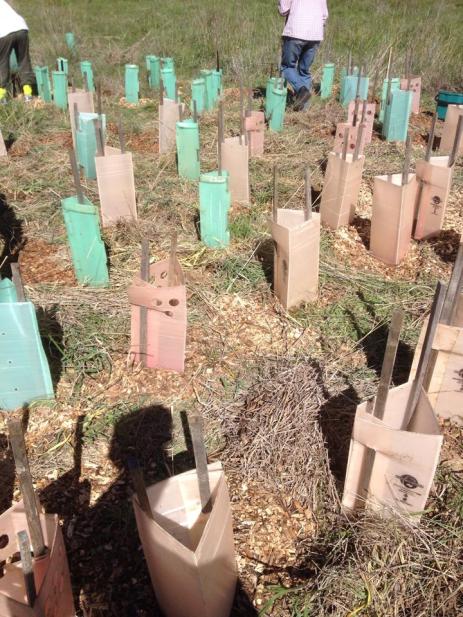 10308582_10154196073910061_182074083205069489_n