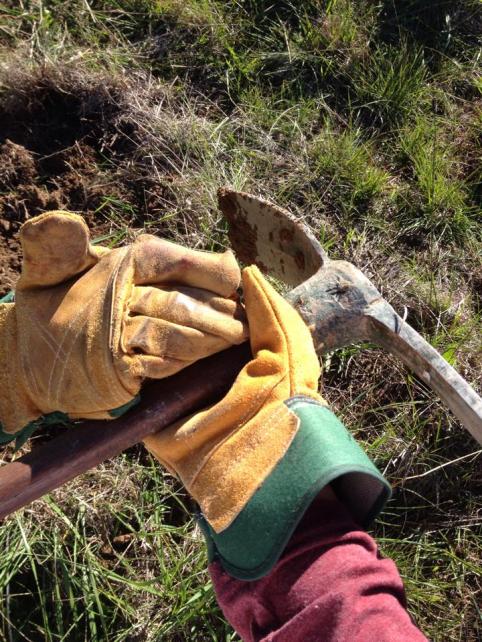 1508584_10154196073885061_7061691727338188709_n