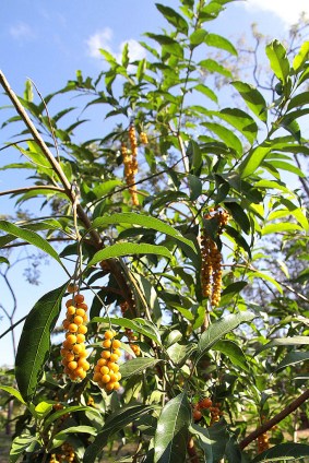 8465114629_a0bf31bca5_b