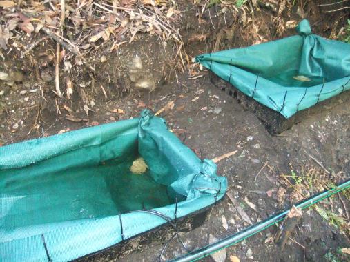 Two of the ponds set up to introduce the Corroboree Frog into an area with no reservoir hosts