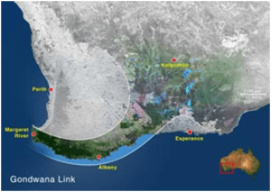 Scope of Gondwana Land Imitative 
