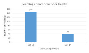 Seedlings health, March 2014.