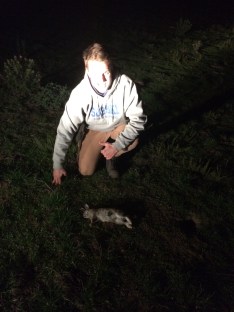 First victim of the introduced species cull. We targeted rabbits, foxes and feral cats