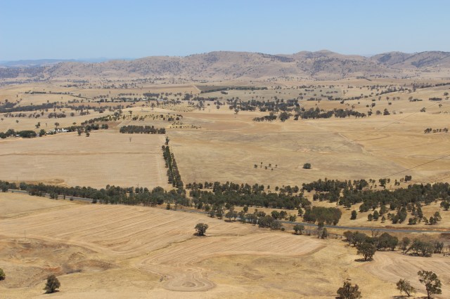 Farmland in Galong, NSW. This is the general picture of the area. As we can see, it is a very modified landscape, predominantly farmed for food crops. This photo was taken in late January, 30+ degrees and very dry!