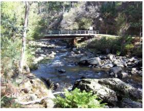 Natural water flow in the creek