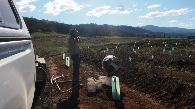 Lots of buckets to fill