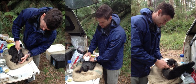 Taking some measurements