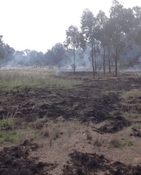 The 'patchiness' of cool-patchy mosaic burning