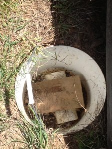 Pitfall Trap Inside each pitfall trap is a wet rag (for hydration) and ½ plastic cylinder and wooden block (for sun protection).