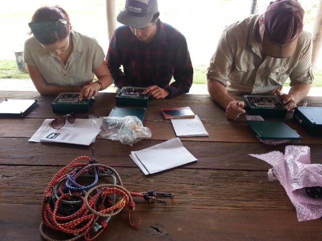 Programming the ultrasonic detectors