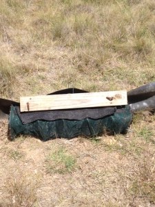 Funnel Trap The funnel trap is covered in mesh (for sun protection) and a wooden block (to hold the mesh in place). Inside the funnel trap is wet rag (for hydration).