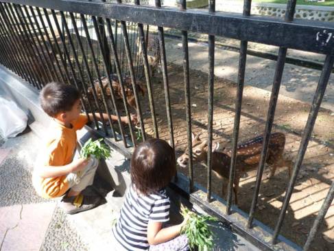 Fig. 5. An effective way to teach children for caring the wildlife (Photo credit: Kompasiana)