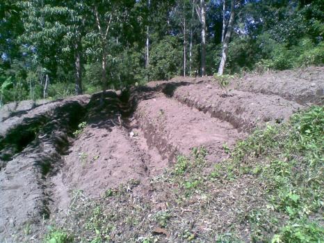 Land preparation for forage production (Photo credit to the author)