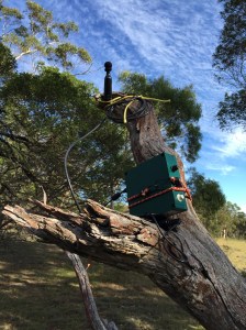 The ultrasonic detector was collected for data analysis.