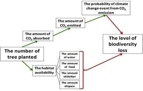 Simple Diagram of the Connection of Tree Planting and Biodiversity Loss. Green arrow indicates the effects from tree planting and red line/ arrow indicates the variables contribute to biodiversity loss, while black line means the component of habitat. 