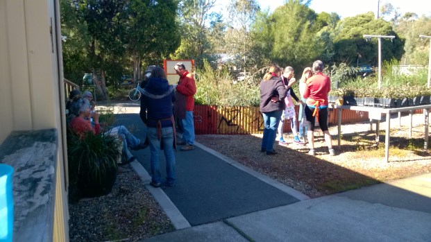 Many thanks to the wonderful staff and volunteers at Greening Australia