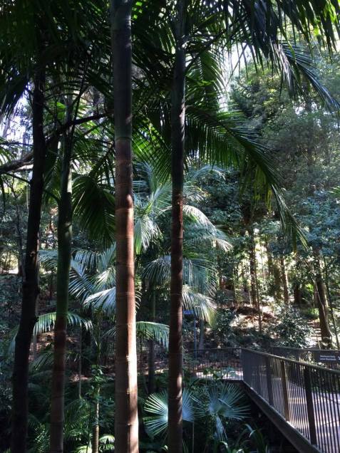 14359833_10154453870300053_773191795_o