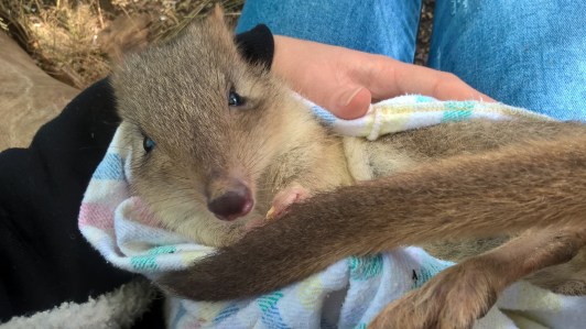 wp_20160803_14_09_42_pro