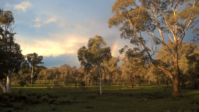 wp_20160914_17_29_52_pro