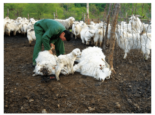 %e5%b1%8f%e5%b9%95%e5%bf%ab%e7%85%a7-2016-10-12-%e4%b8%8b%e5%8d%881-14-00