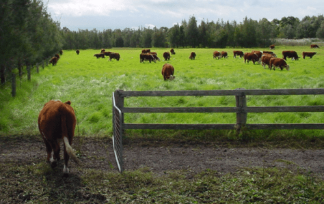 Figure 1: agriculture is associated with land clearing, but we can change that! 