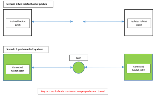 Figure 3: farms can improve biodiversity by serving as a stepping stone