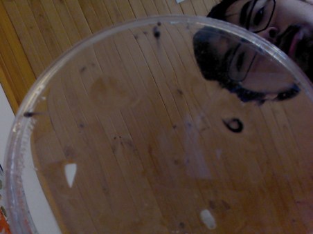 img_20161010_123210340