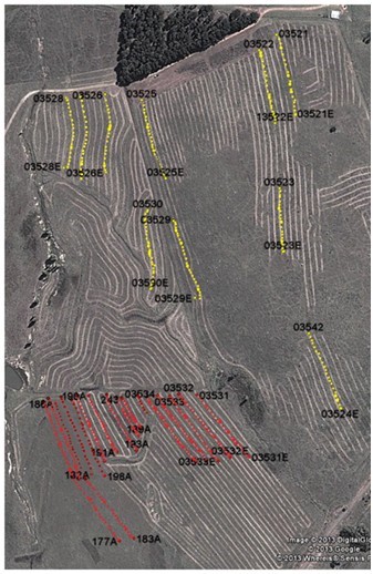 Figure 7 - Some of the transects monitored since 2013