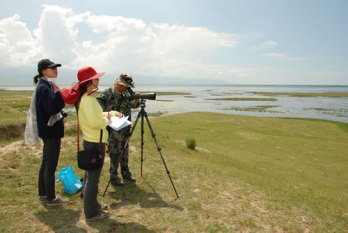 w020130110370595857340