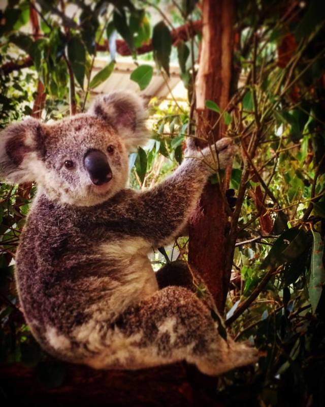 20993118_1811555308872852_15280497_o