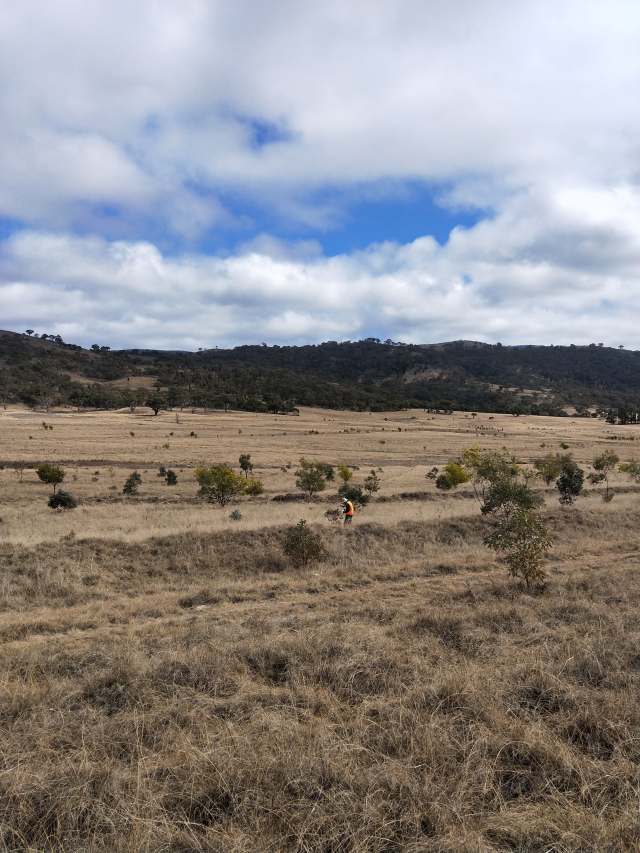 69562697_485381838677724_8247717288686387200_n