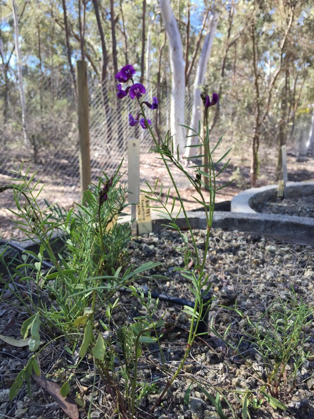 Photo: Lucy Campbell