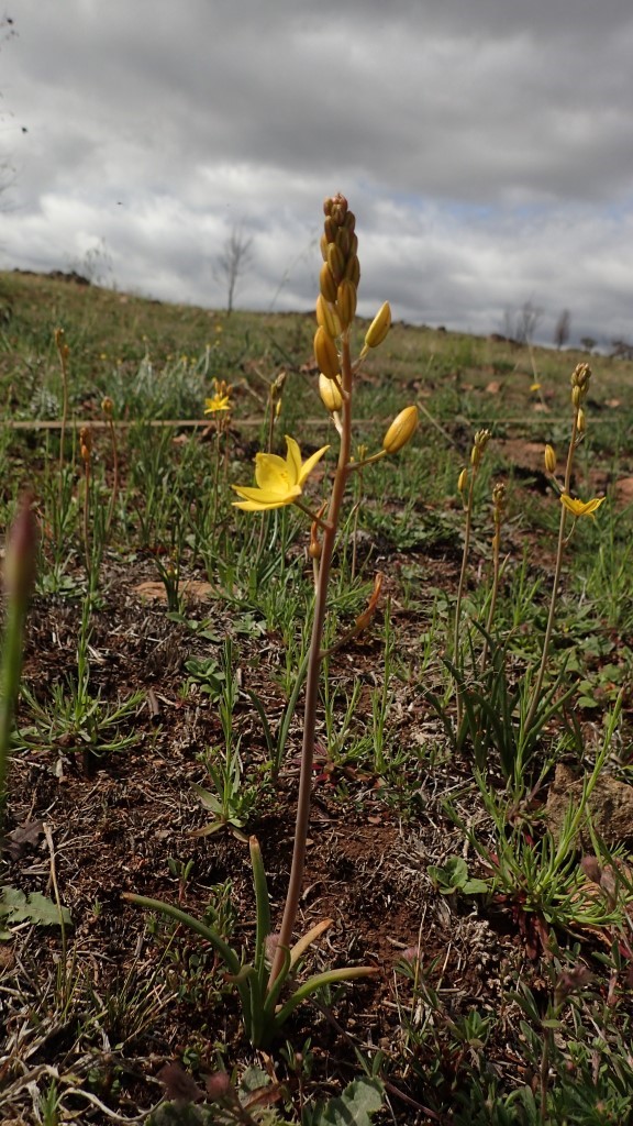 This image has an empty alt attribute; its file name is image-7.jpeg